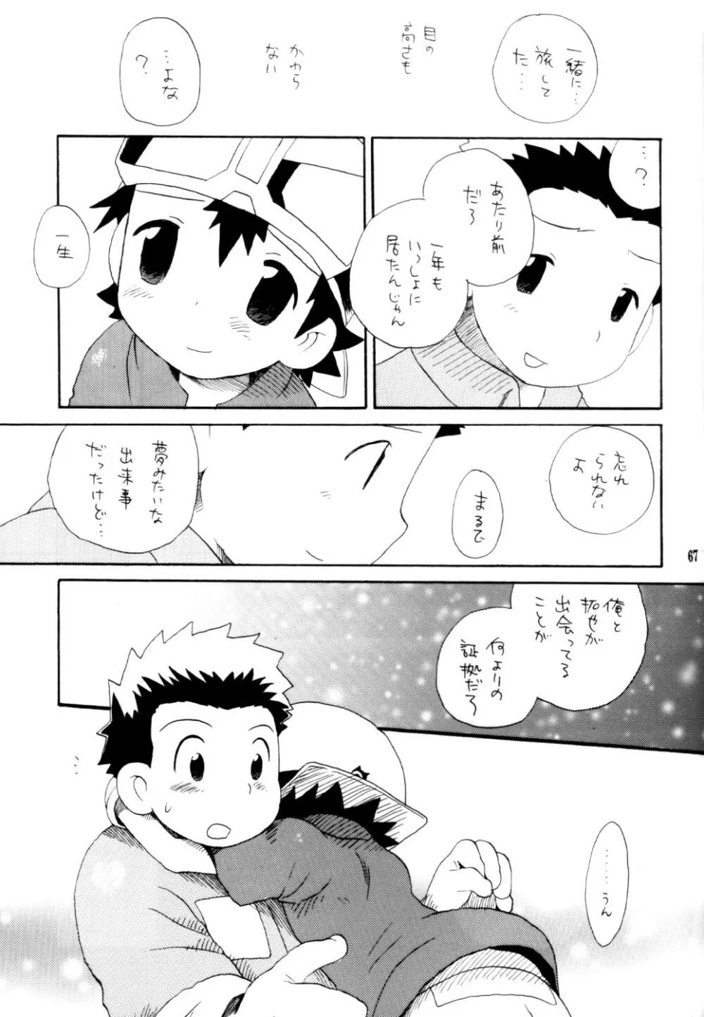 いなづまロックドーム - page66