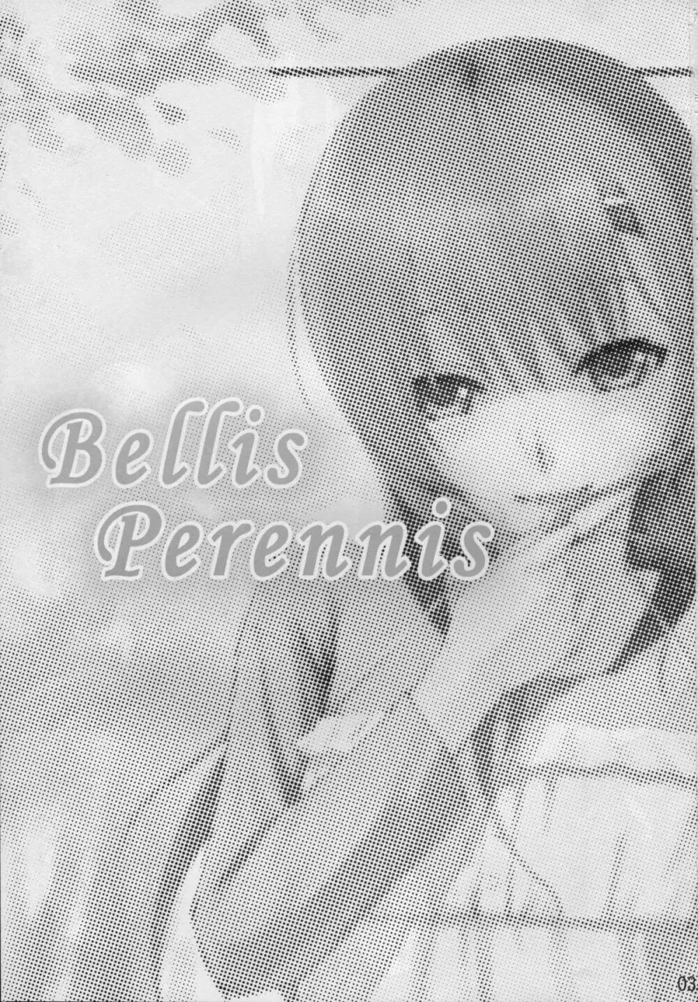 Bellis Perennis - page2