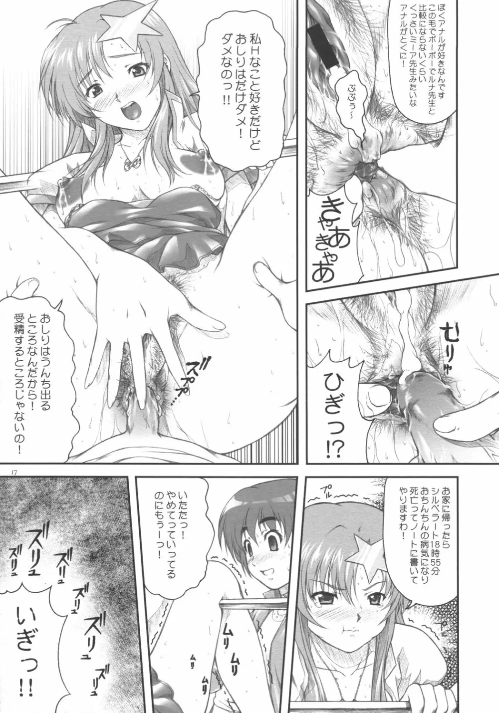 アイドル宣言!!ミーア先生♪ - page17