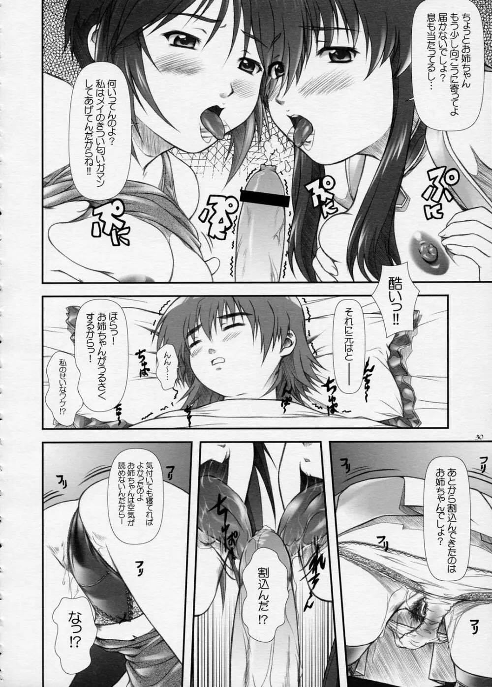 おしえて…？ルナ先生！！ =DESTINY= - page29