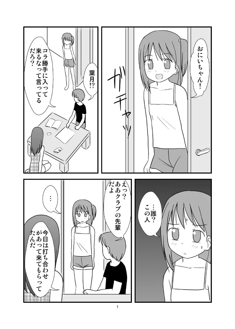 DAISUKI! おにいちゃん ～妹じゃないもん～ - page2