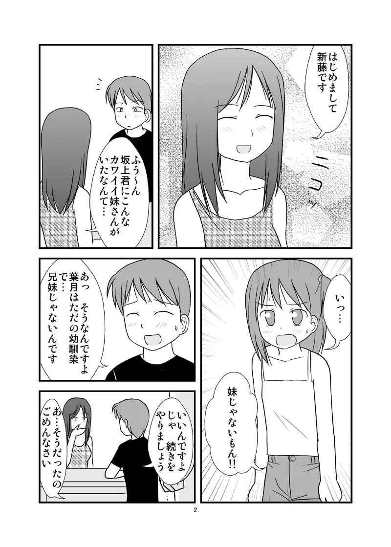 DAISUKI! おにいちゃん ～妹じゃないもん～ - page3