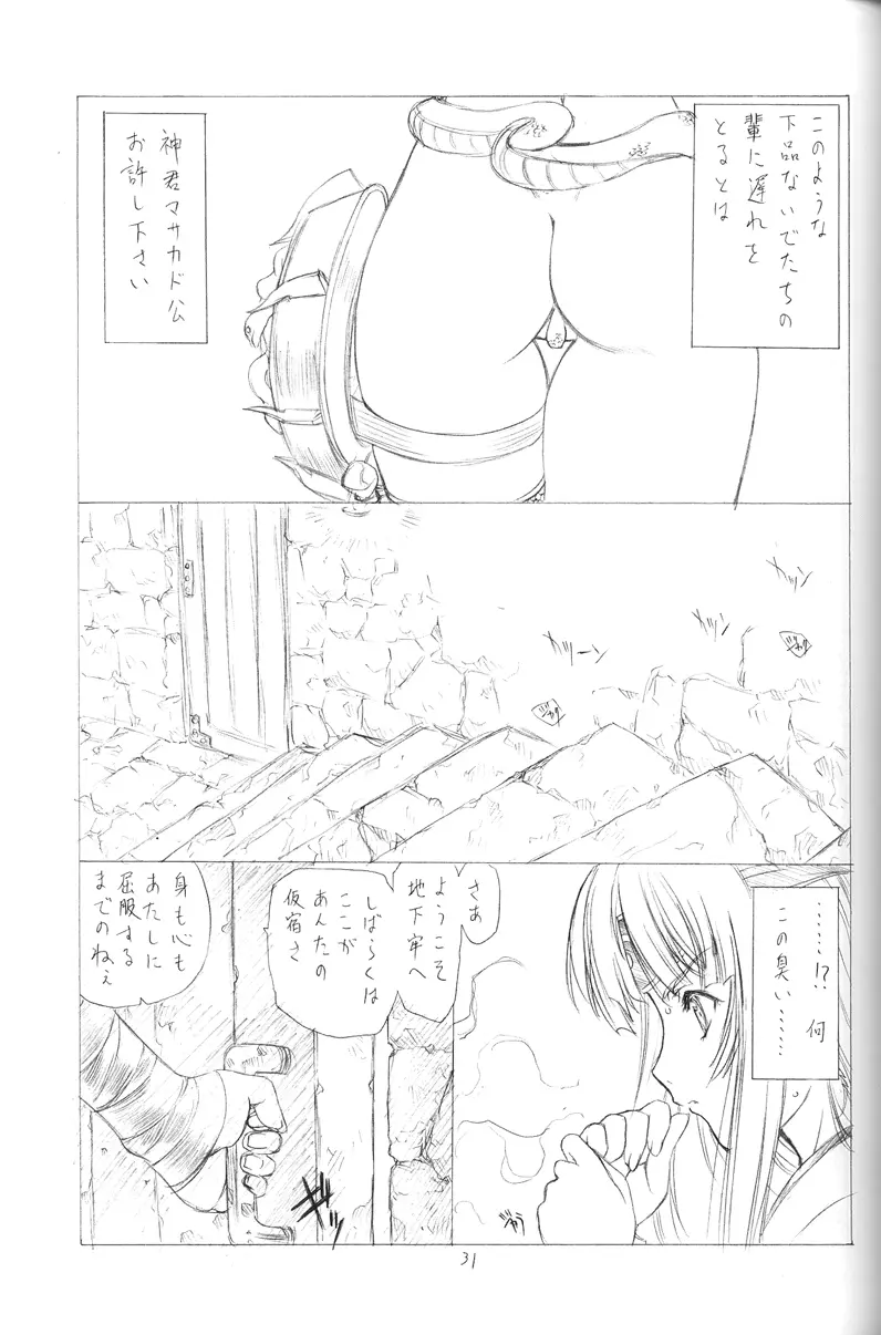 妖蛇の宴 - page30