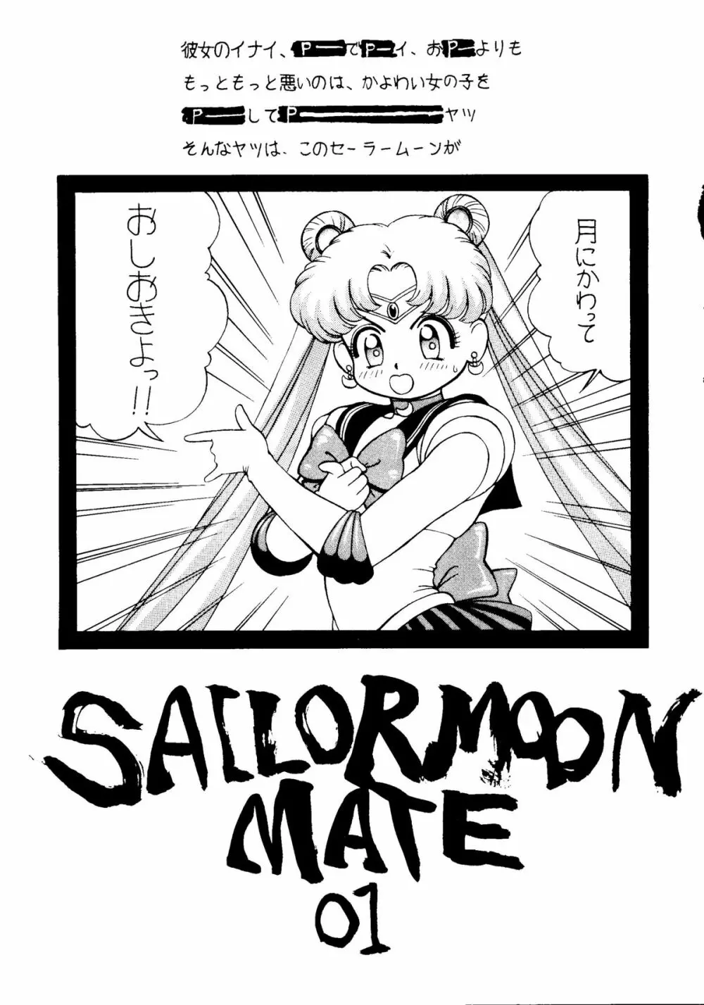 SAILOR MOON MATE vol.1 - page2