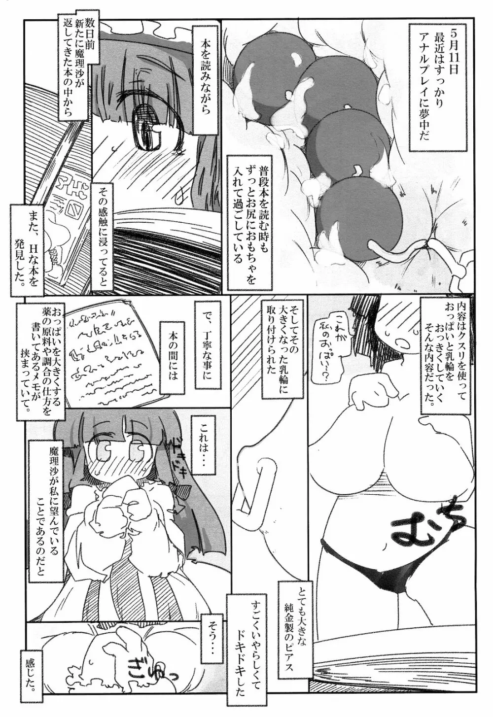 変態パチュリの自己調教日誌 - page3