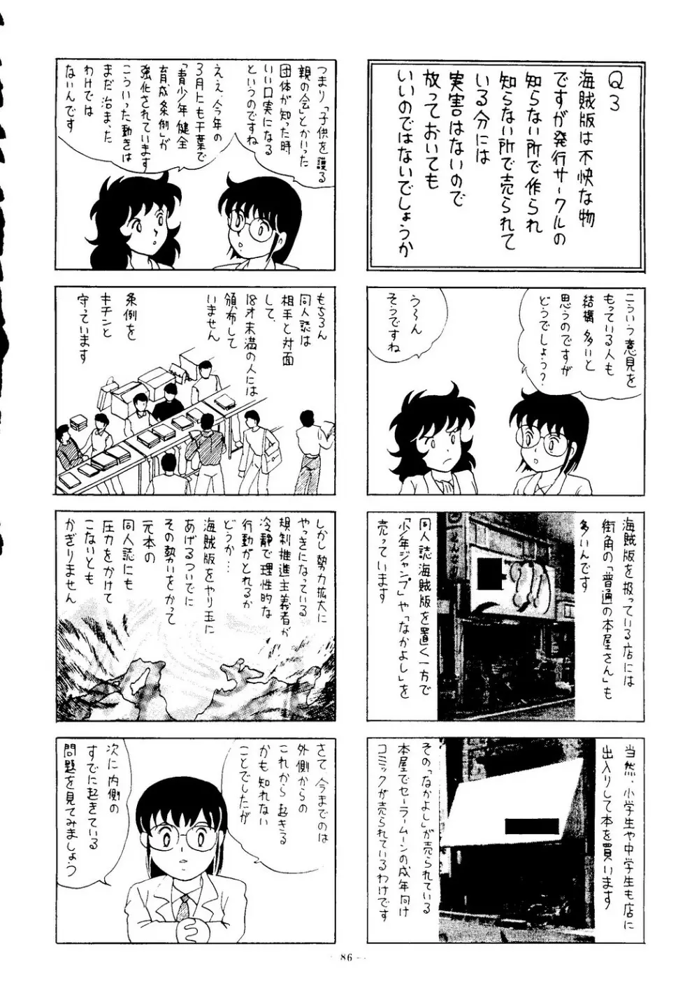 海賊版同人誌打倒版!! 被害報告 - page87