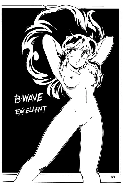 B-WAVE excellent - page10