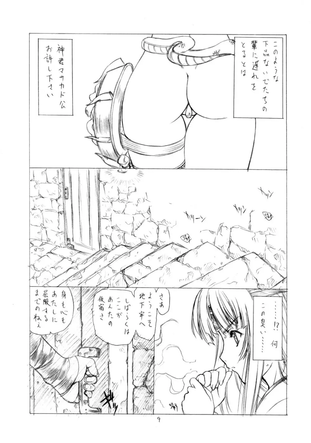 クイーンズブレイド本 - page9