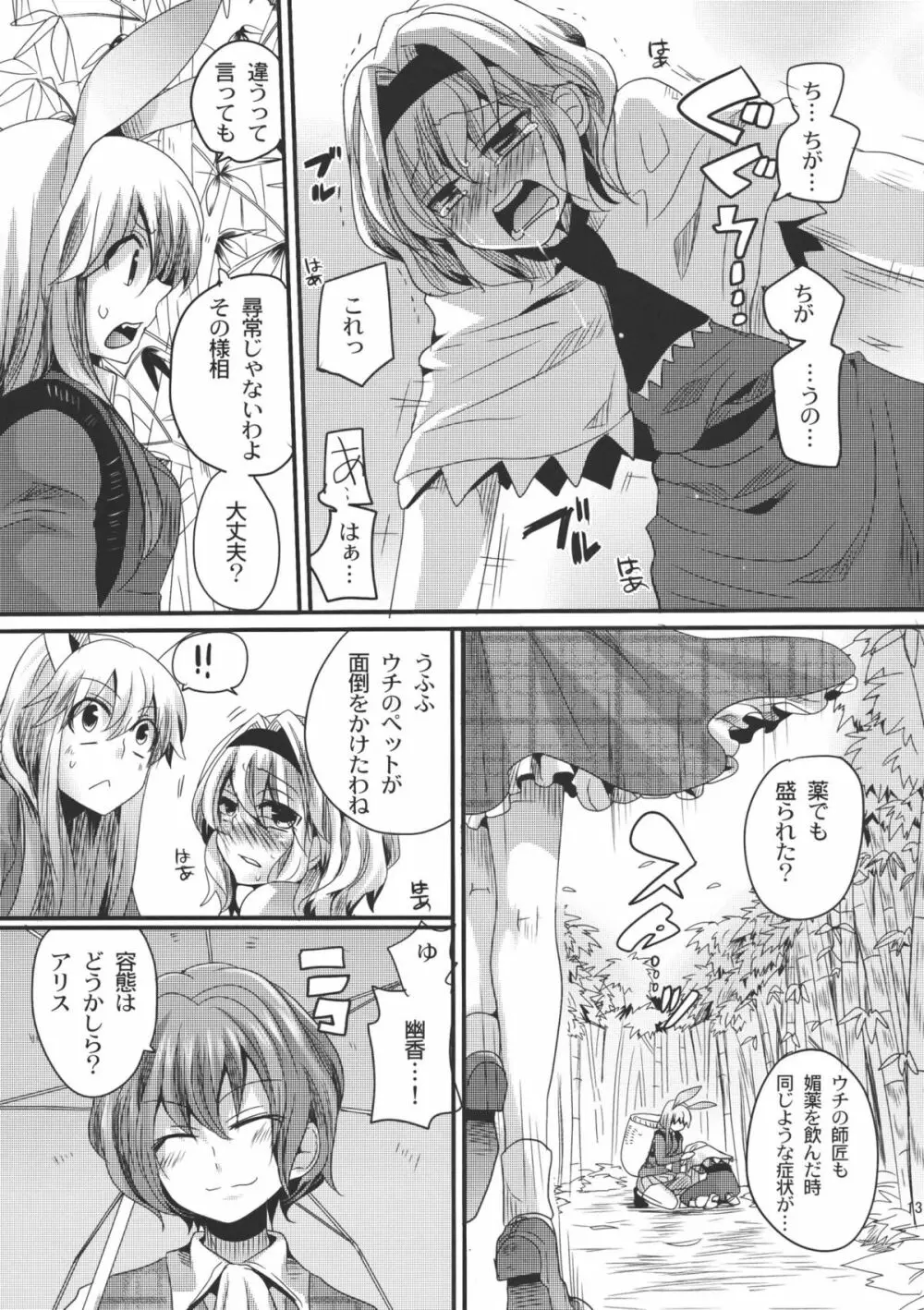 幽香がドSでアリスがMで - page13