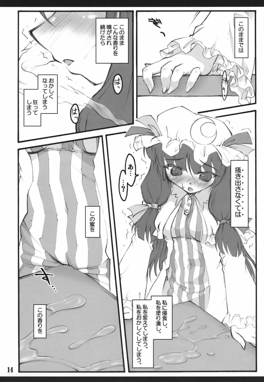 パチュリー～東方少女催淫～ - page13