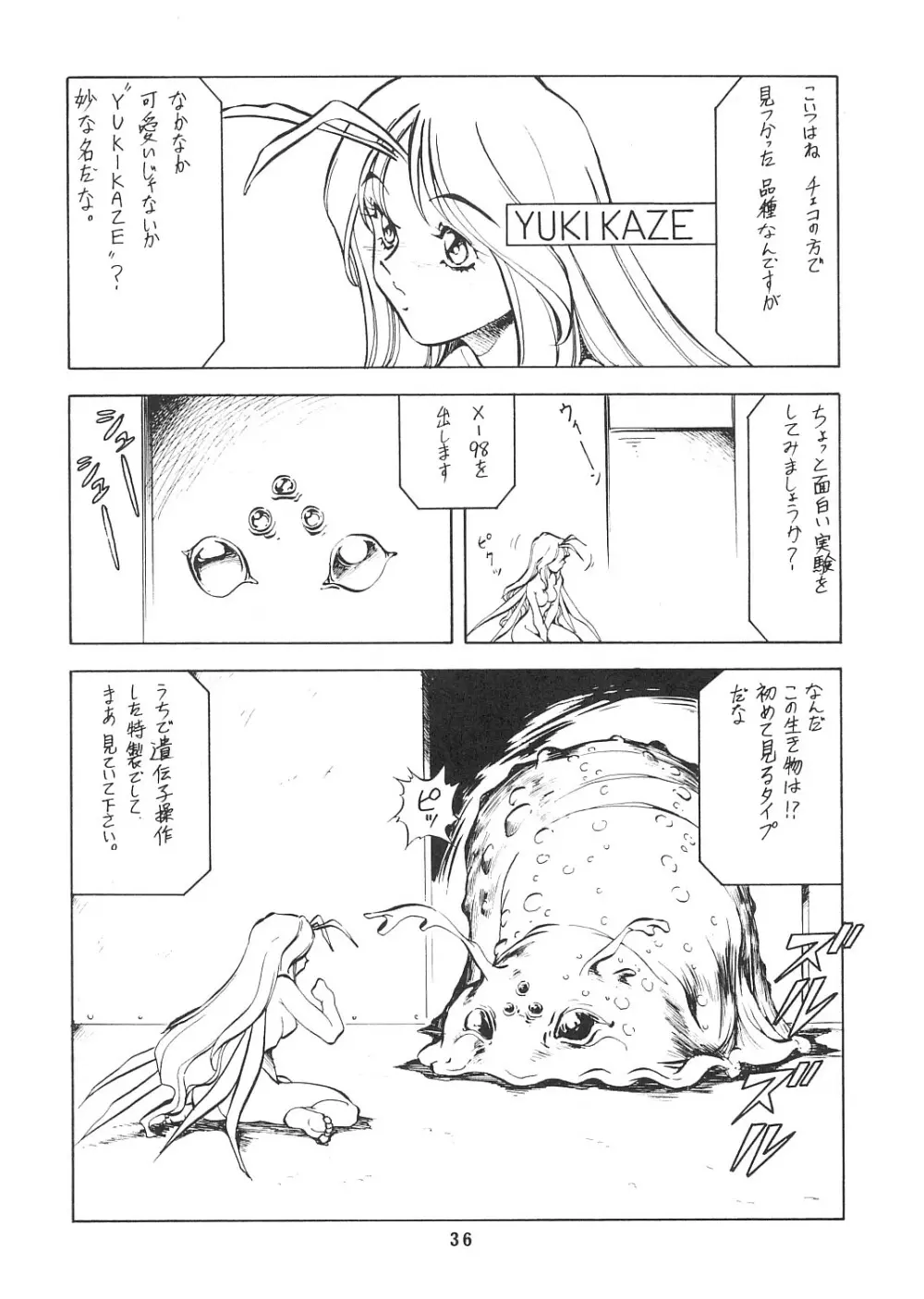 妖精天国 蓬莱王 - page35