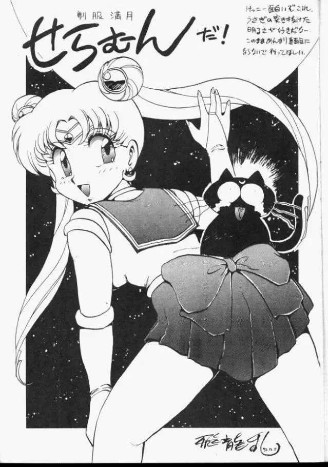 Sailor Moon Monbook Series 1 - page2