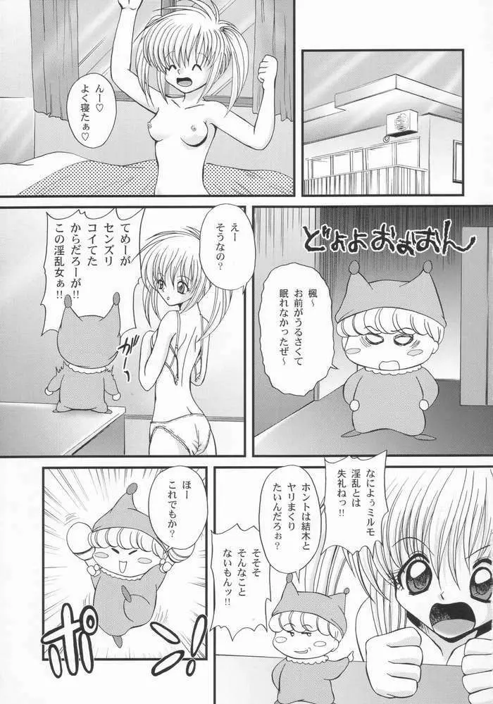 えろえろ☆ふぇあり～の本！ - page4