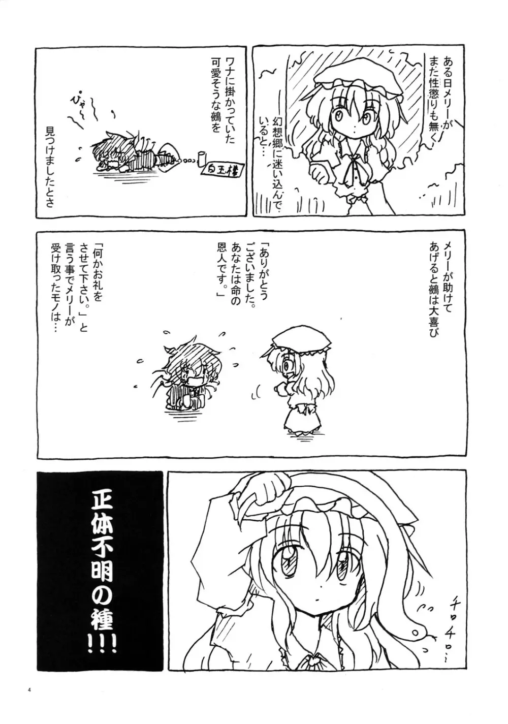 秘部に封する危険な遊び - page3