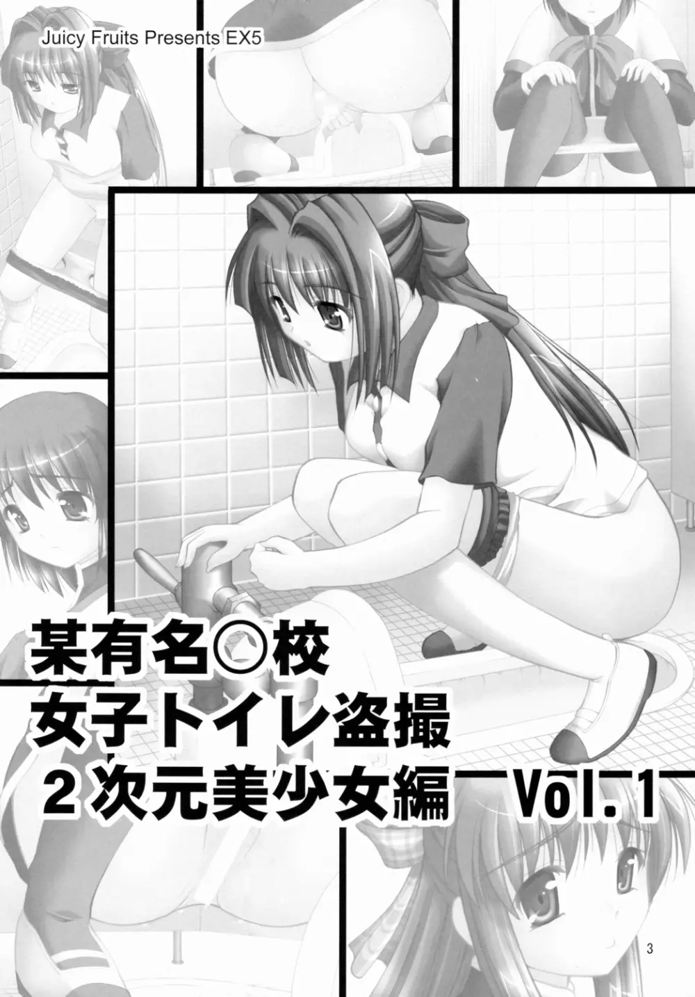 某有名○校女子トイレ盗撮 2次元美少女編 Vol.1 - page2