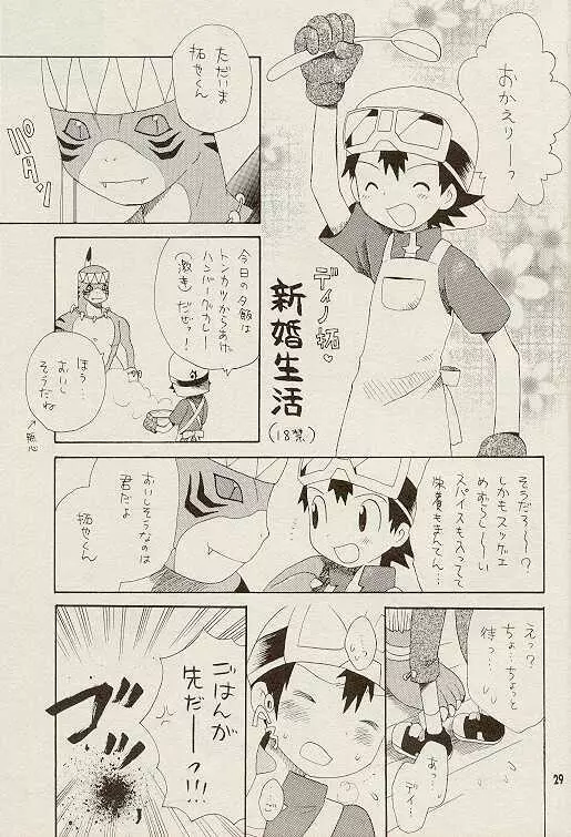 天然同胞宮殿遠近法の書 - page28