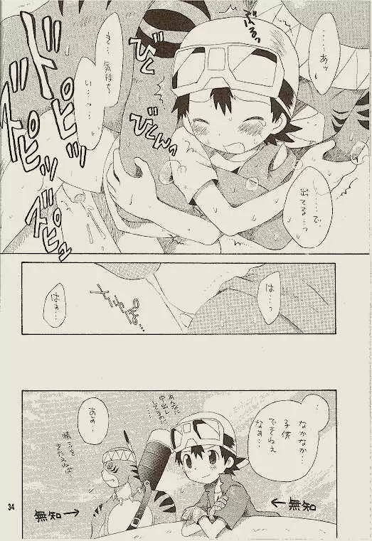 天然同胞宮殿遠近法の書 - page33