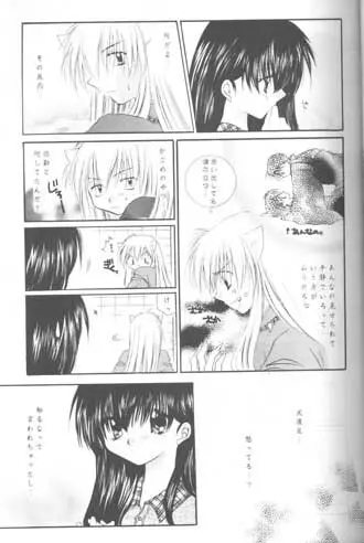 森の中の小さな翼 - page18