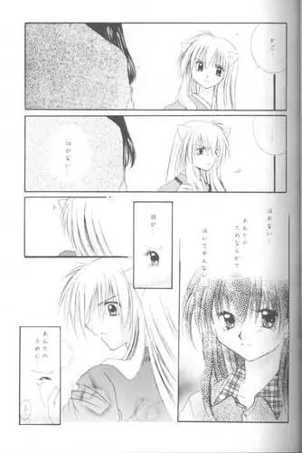 森の中の小さな翼 - page22