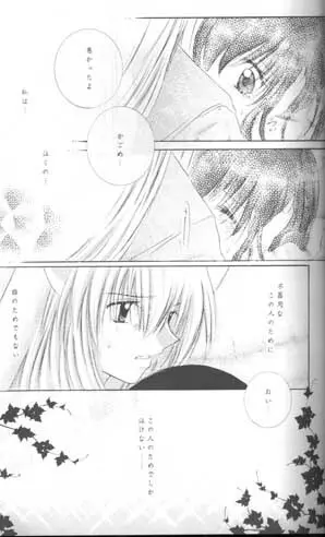 森の中の小さな翼 - page26