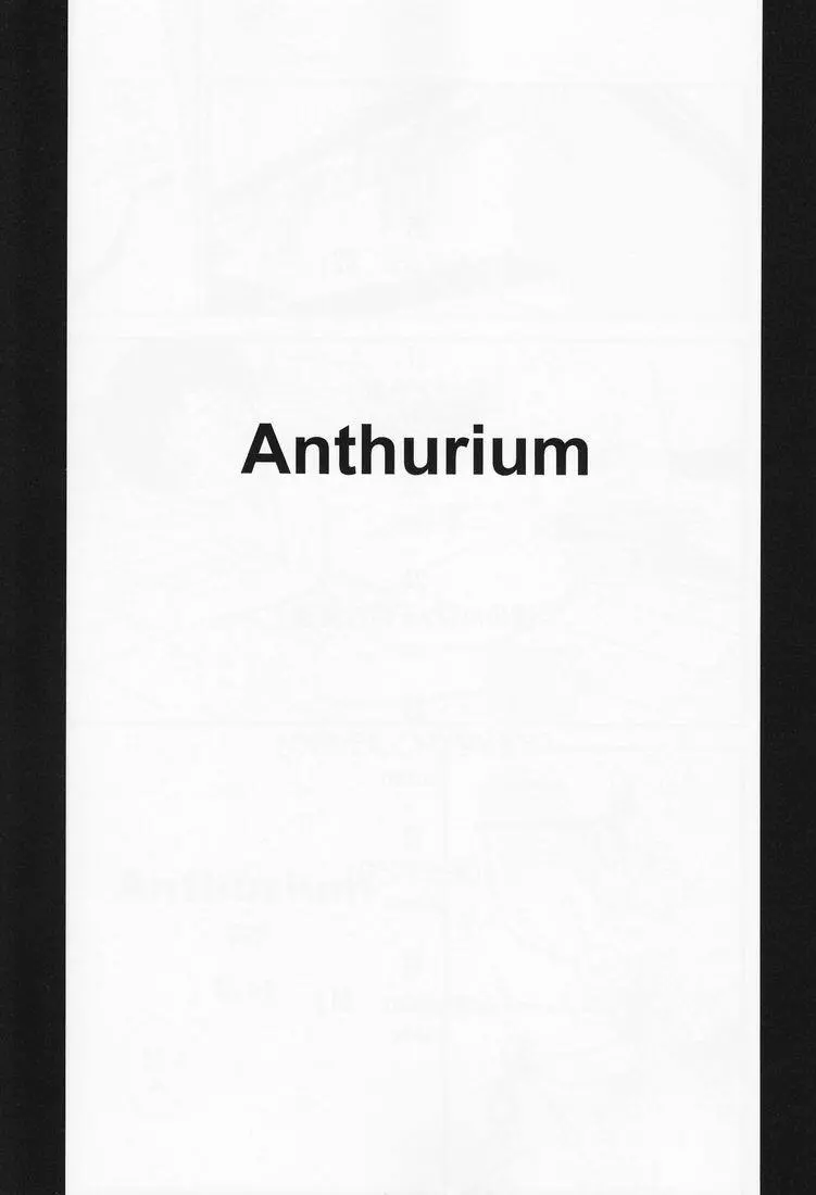 Anthurium - page2