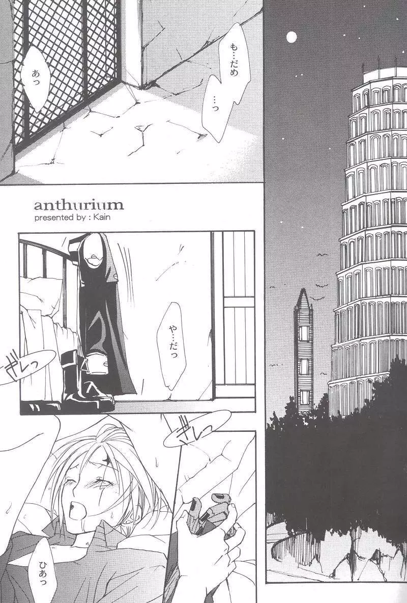 anthurium - page4