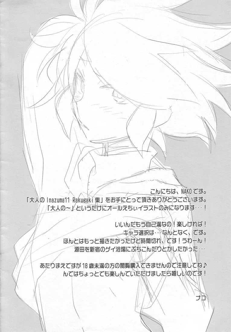 大人のInazuma11 Rakugaki集 - page2