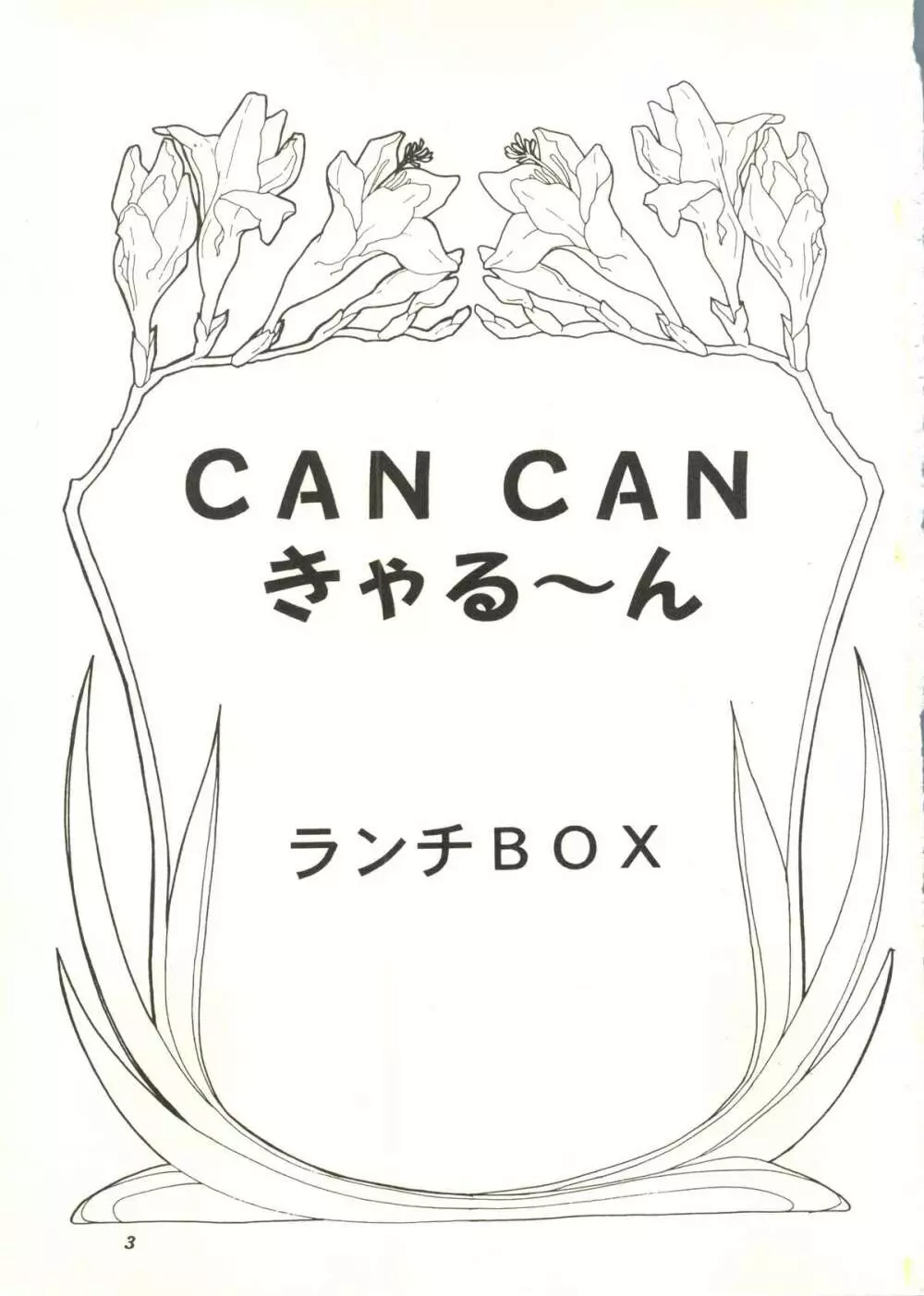 CANCANきゃる～ん - page2