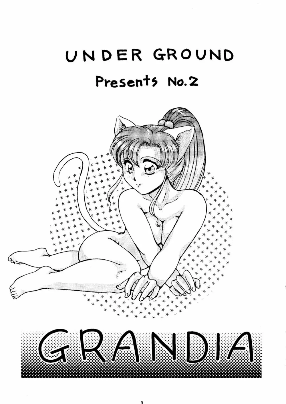 Grandia - page2