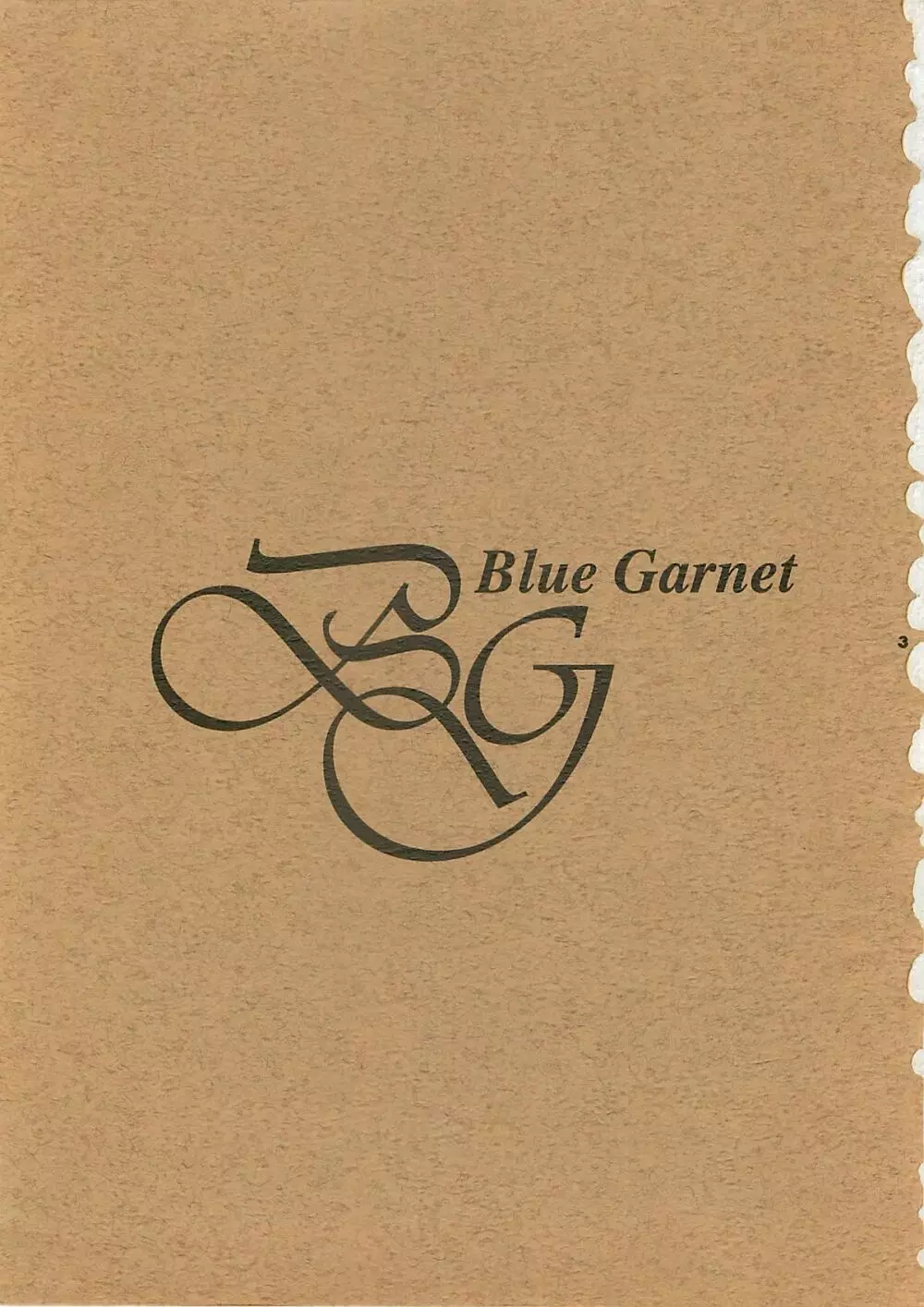 Blue Garnet Vol.4 禁区 - page2