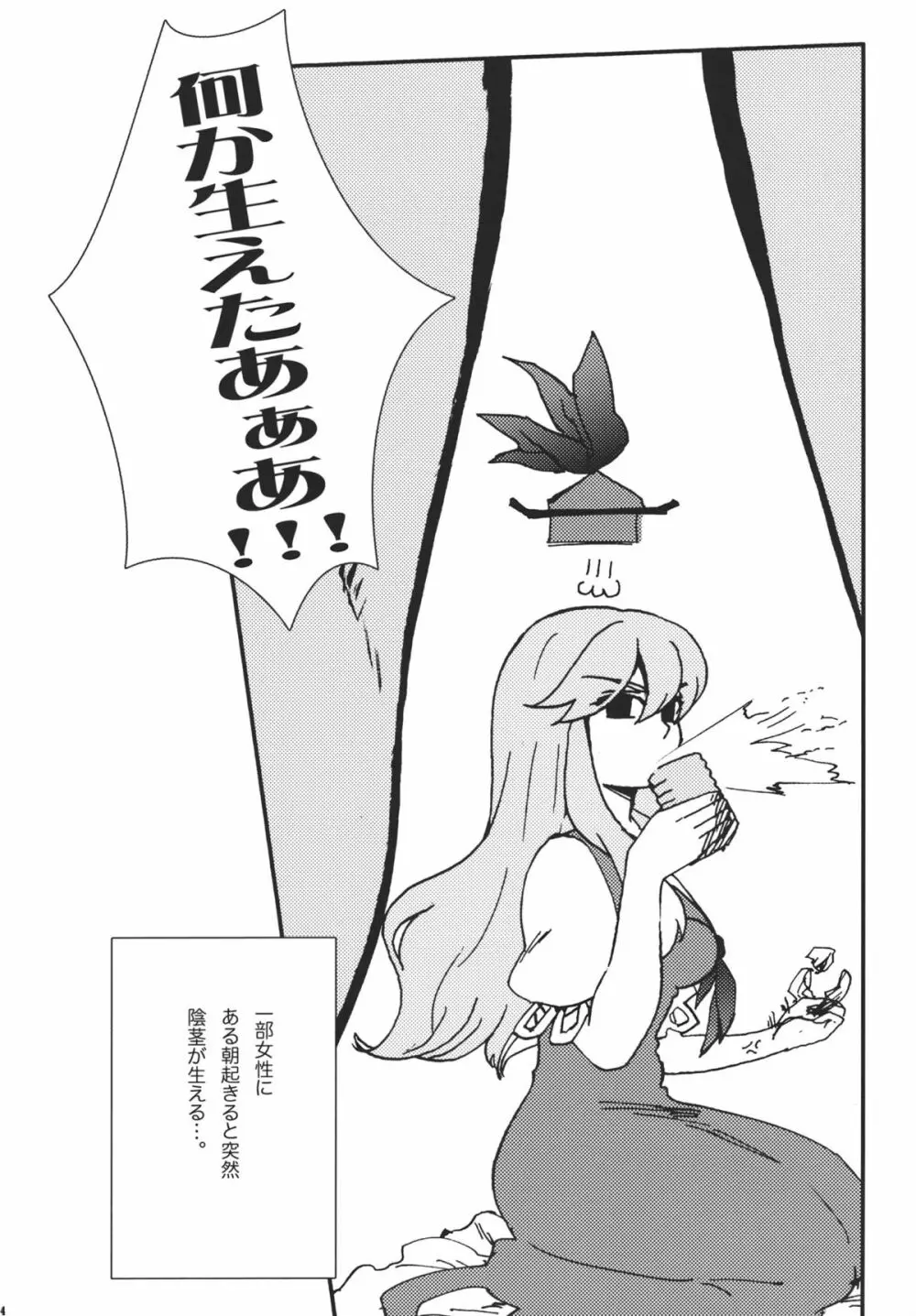 藤原妹紅は静かに暮らせない - page4