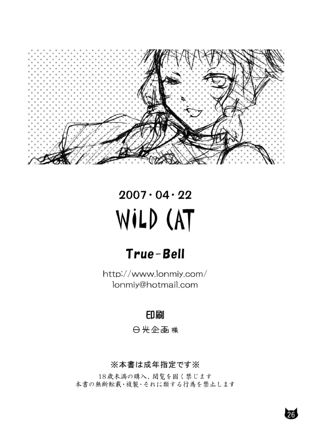 WILD CAT - page26