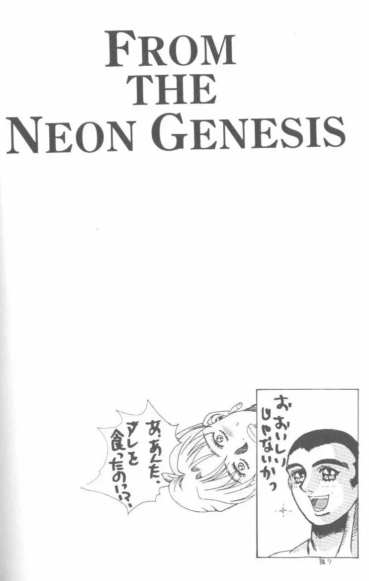 From the Neon Genesis 01 - page130