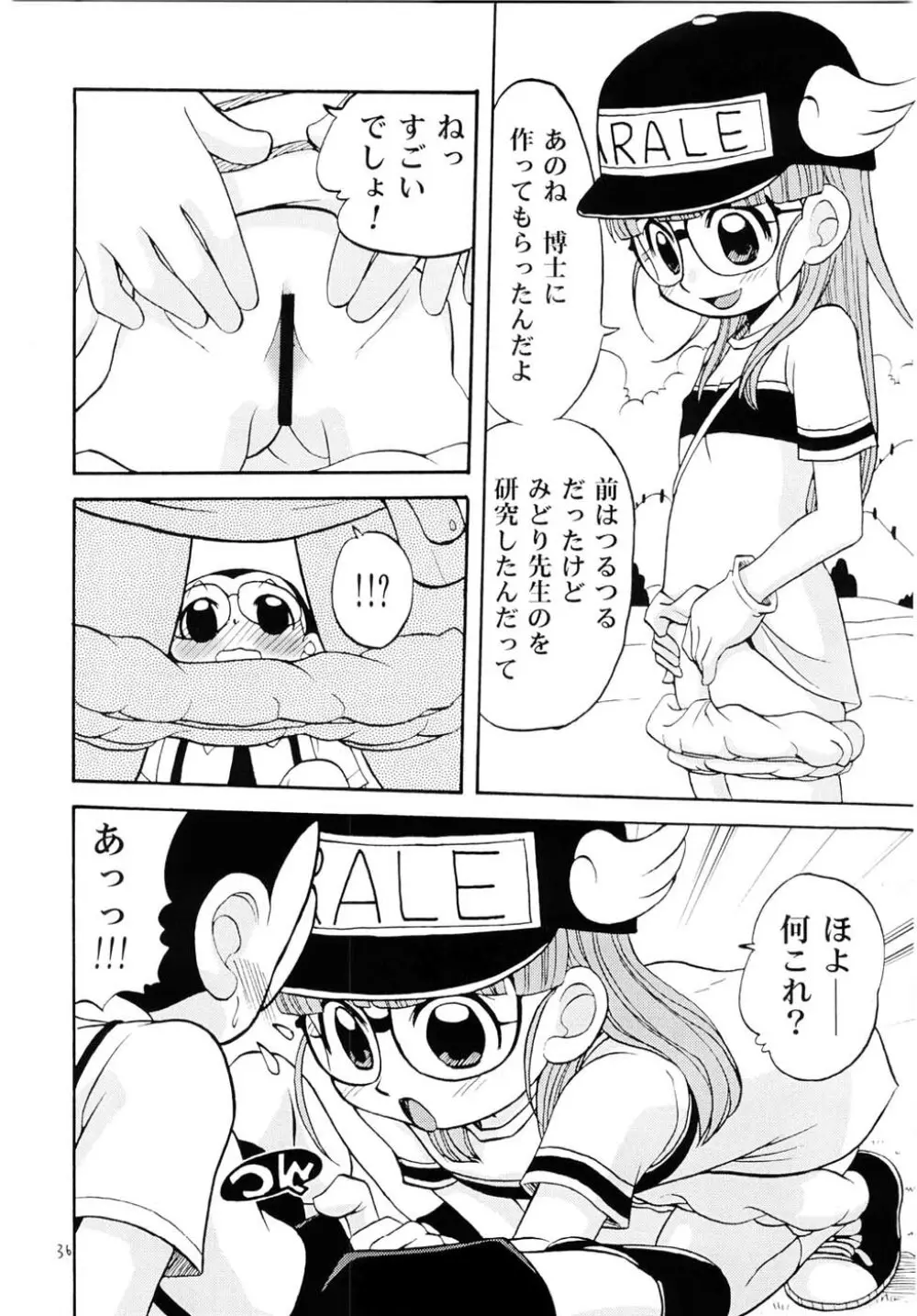PROJECT ARALE - page35