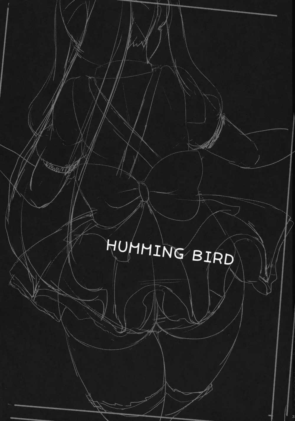 HUMMING BIRD - page3