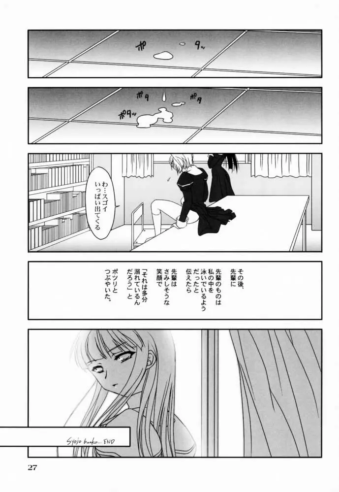 - Shoujo Bunko - page27