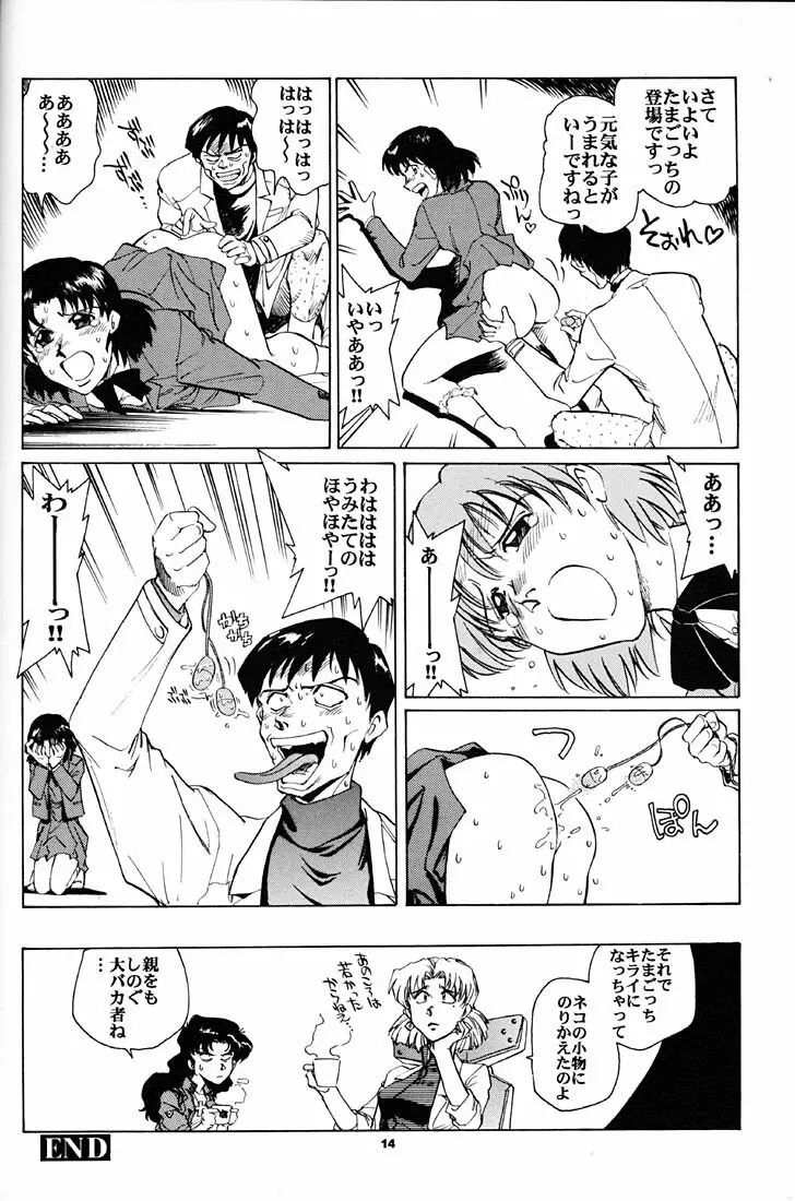 もっと恥ずかしいNERV - page13