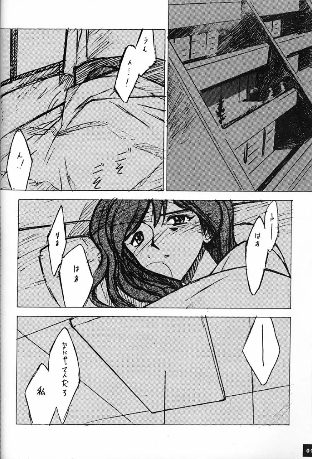 庵野専用 - page13