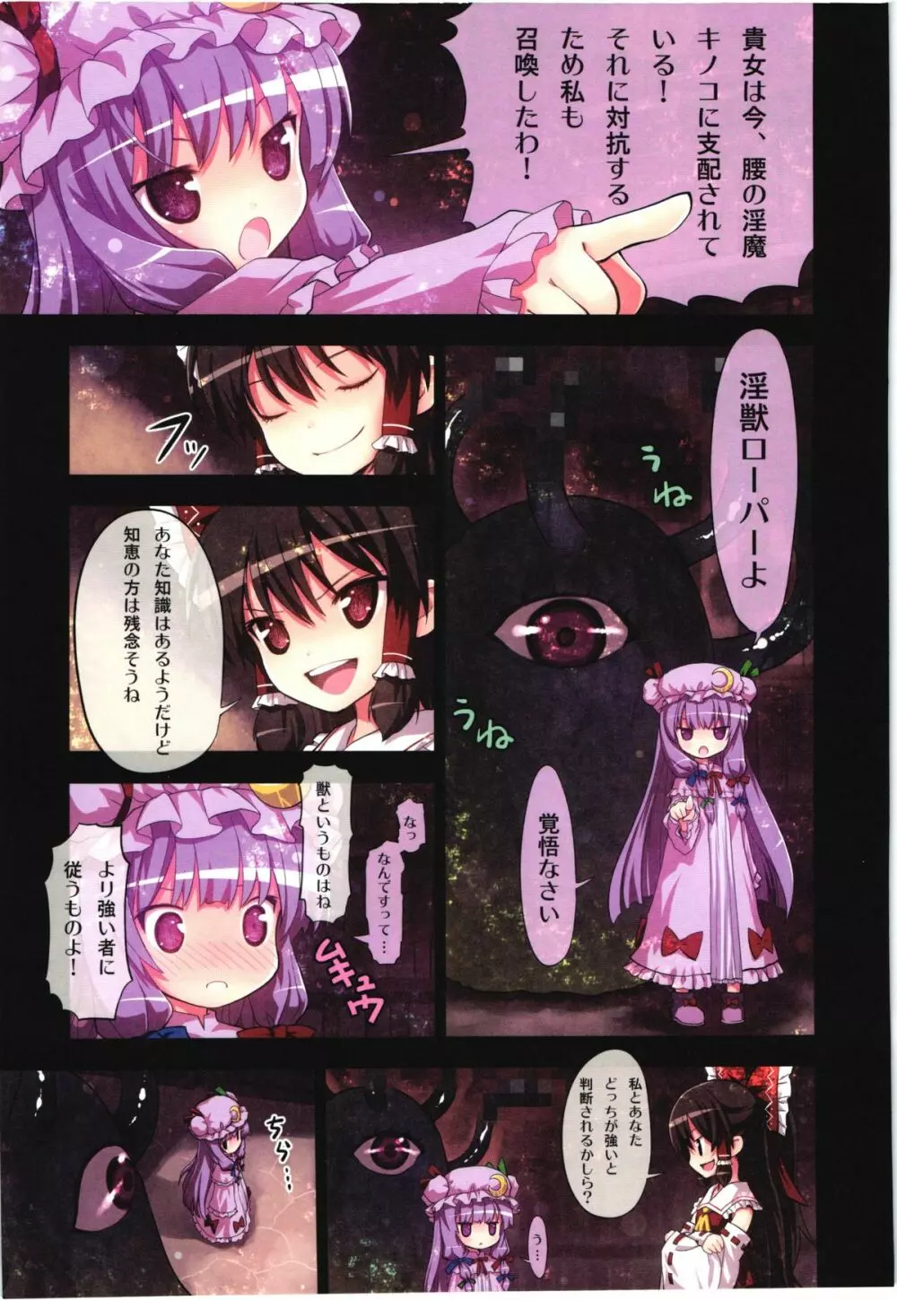 (C80) [りとる☆はむれっと、にゃんふぇっと (ら～☆きぃ)] 鬼畜王レイム-東方紅魔郷攻略本 -紅魔館編- (東方Project) - page6