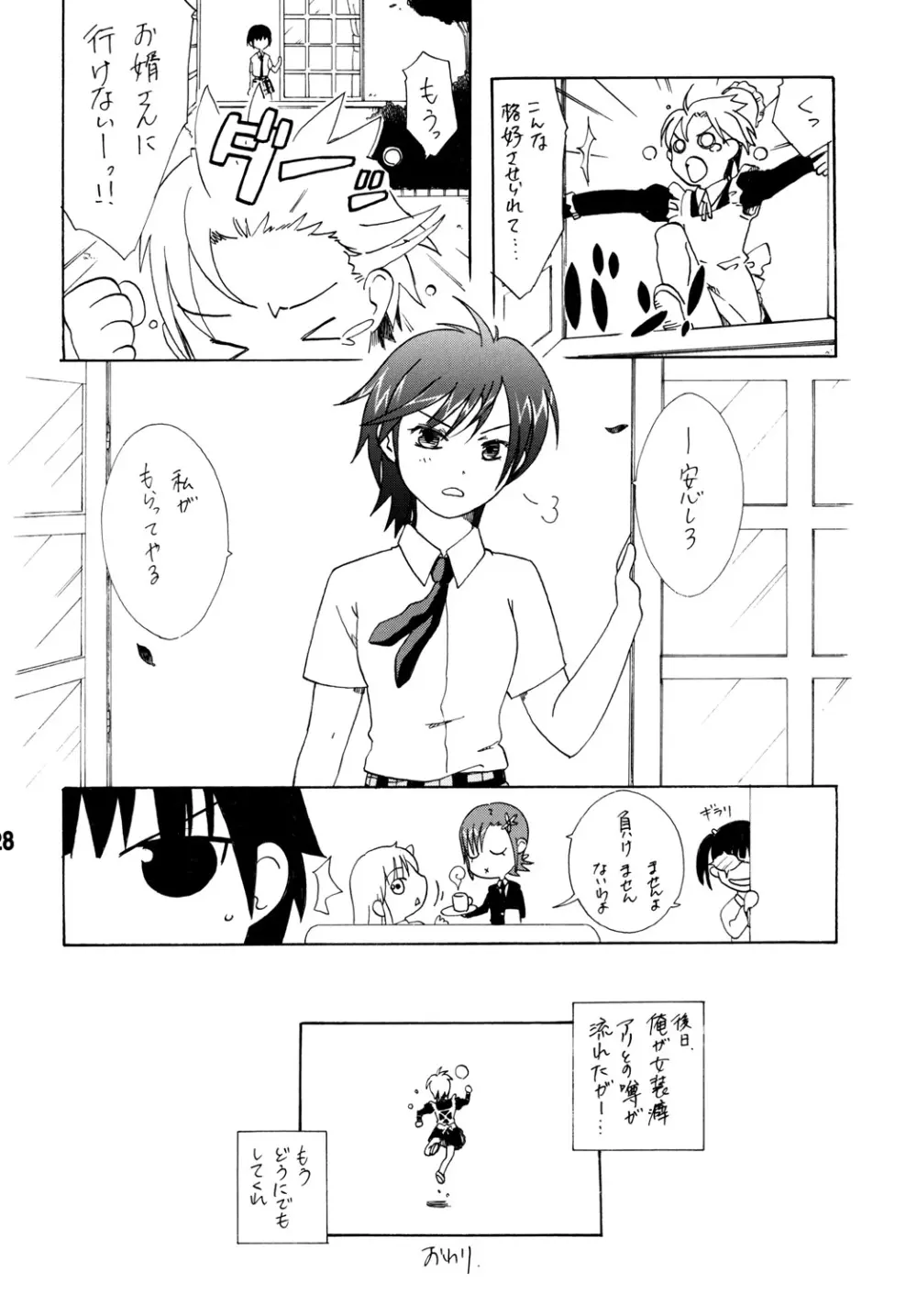 ハガナイックス - page27