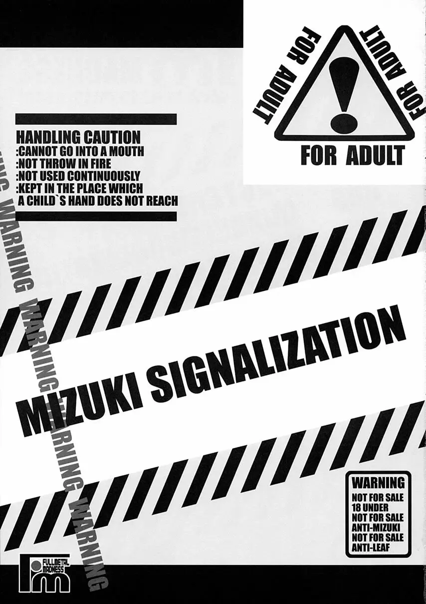 MIZUKI SIGNALIZATION - page2