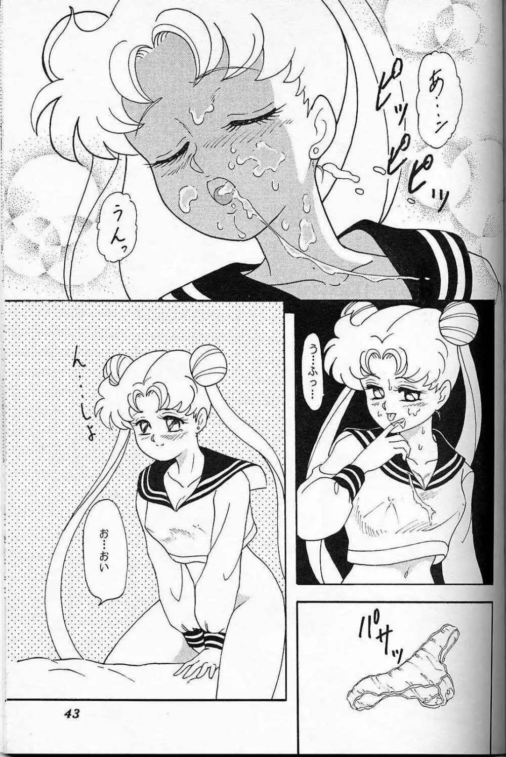 LUNCH BOX 6 - USAGI - page42