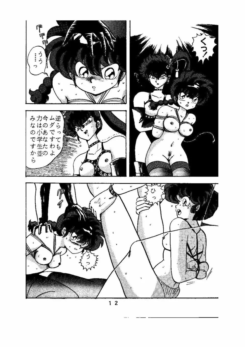 sadistic LaserDisc 黒薔薇館 - page13