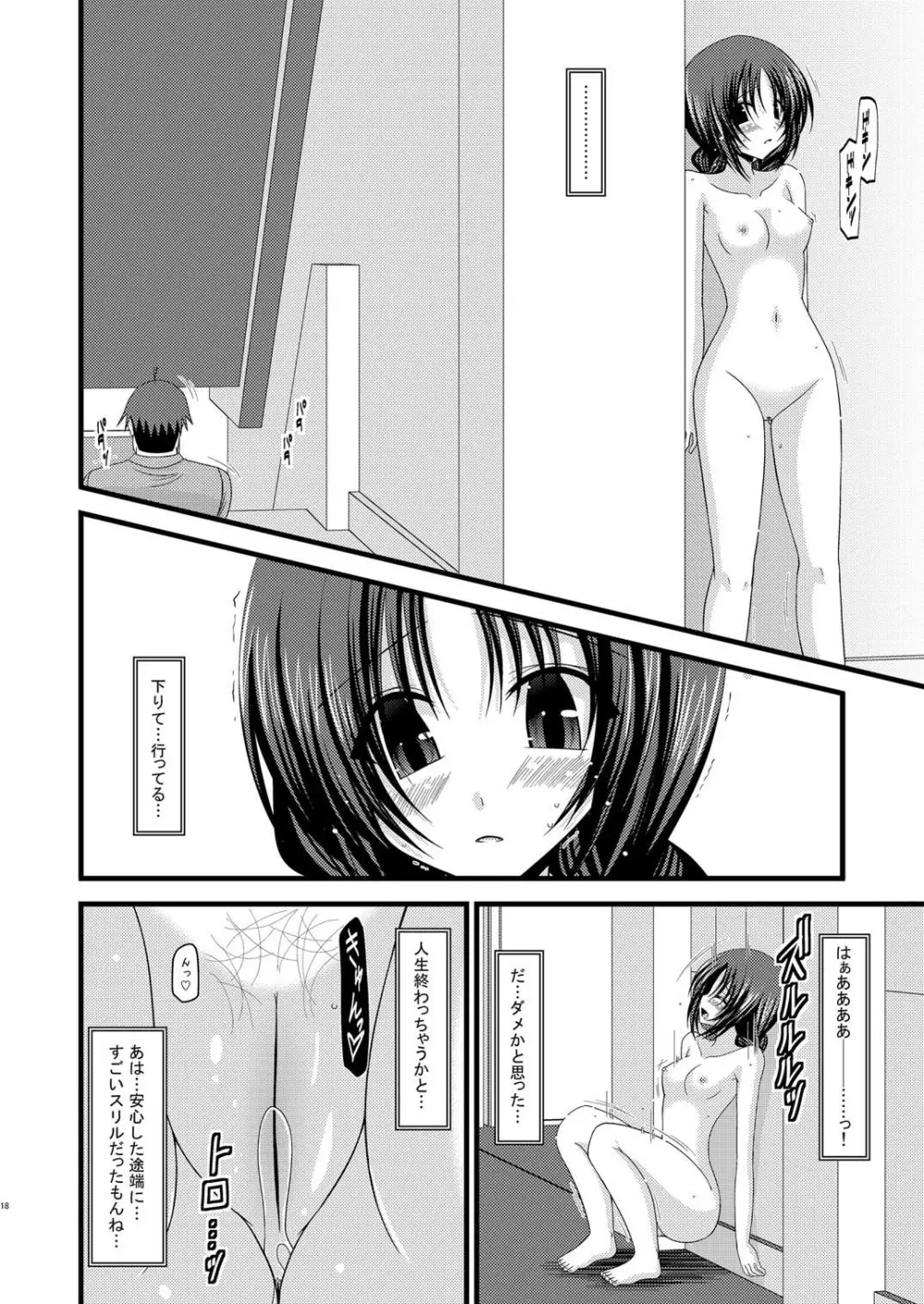 露出少女日記 2冊目 - page17