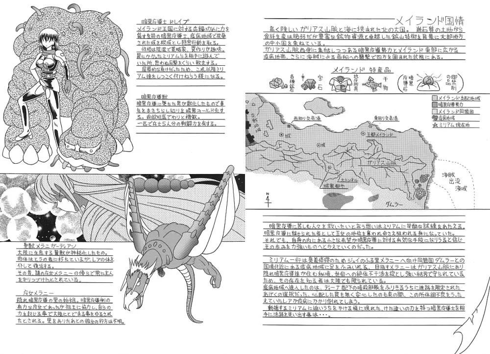 魔導の王国・淫辱の罠に堕ちる美姫 SIDE:A - page33