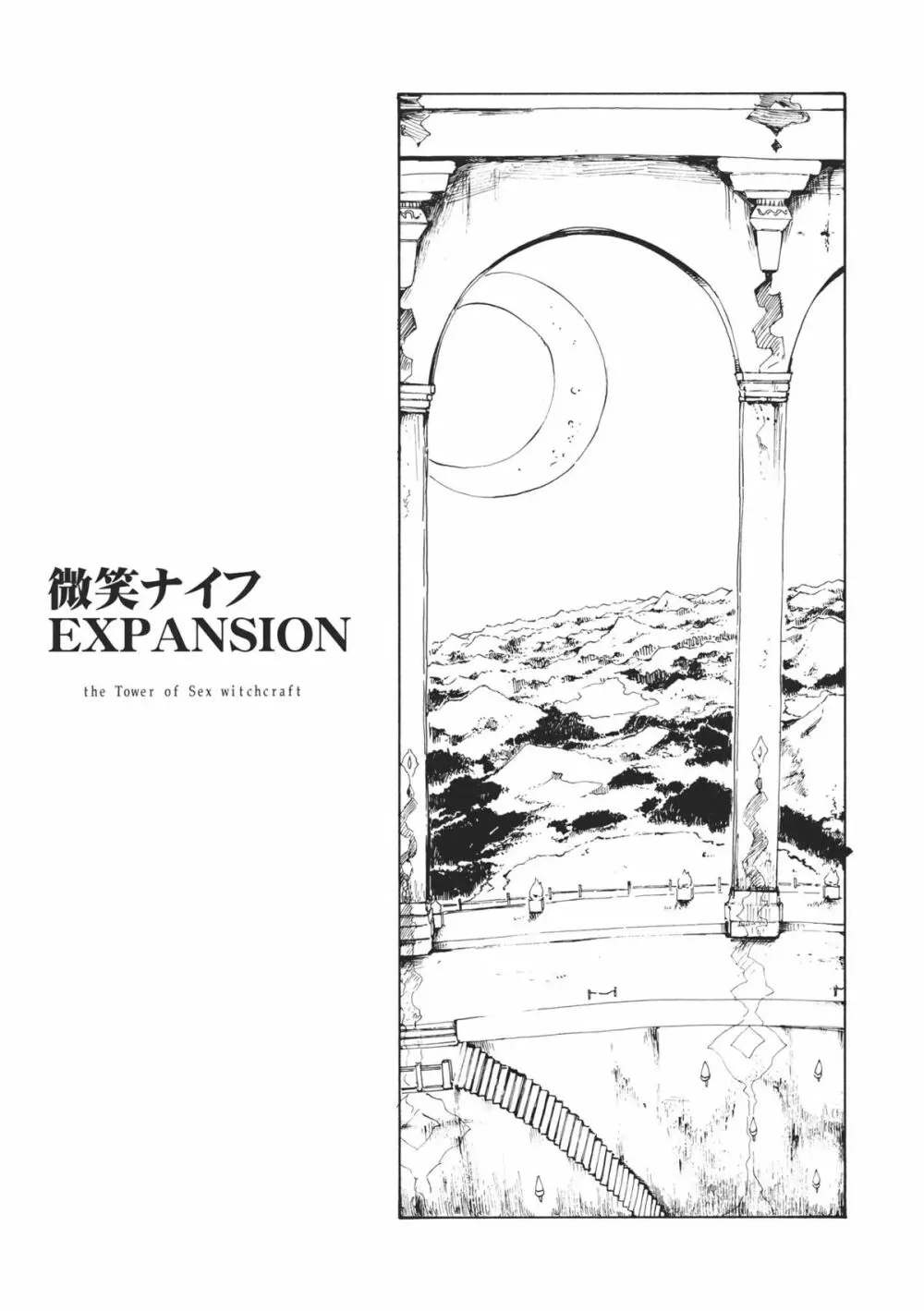 東方浮世絵巻 微笑ナイフEXPANSION - page3