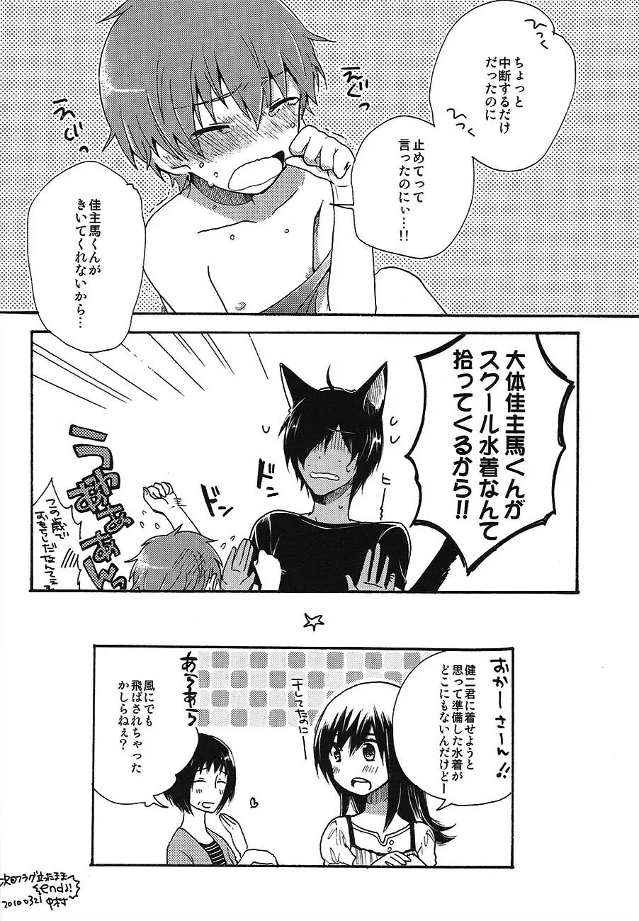 [USAcafe、Orca (にゃろ、中村) KING OF にゃんこ (サマーウォーズ) - page18