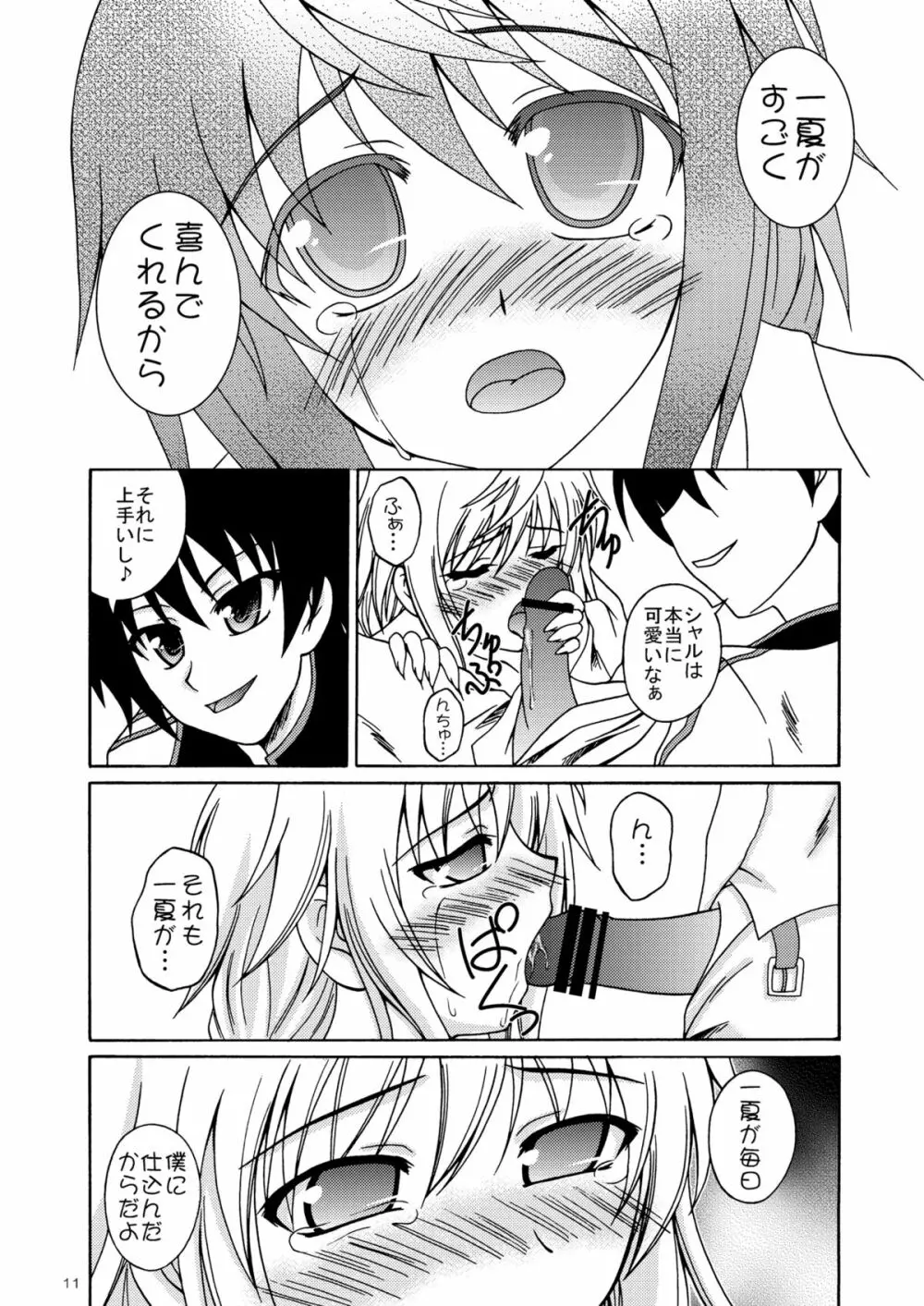 俺とシャルがこんなに乱れるわけがない - page10