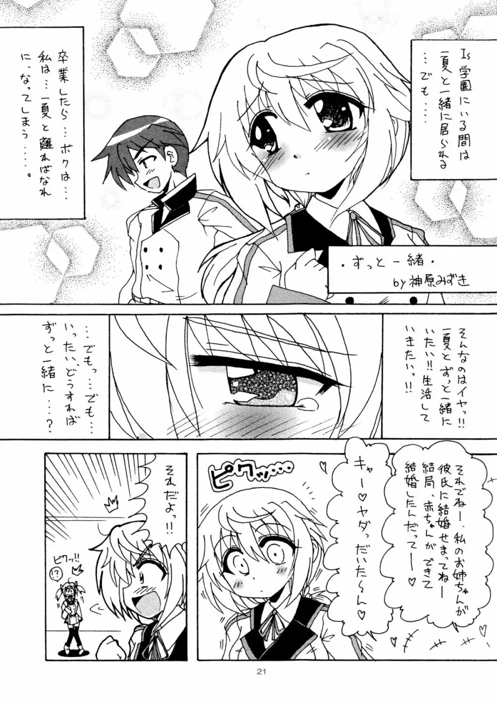 俺とシャルがこんなに乱れるわけがない - page20