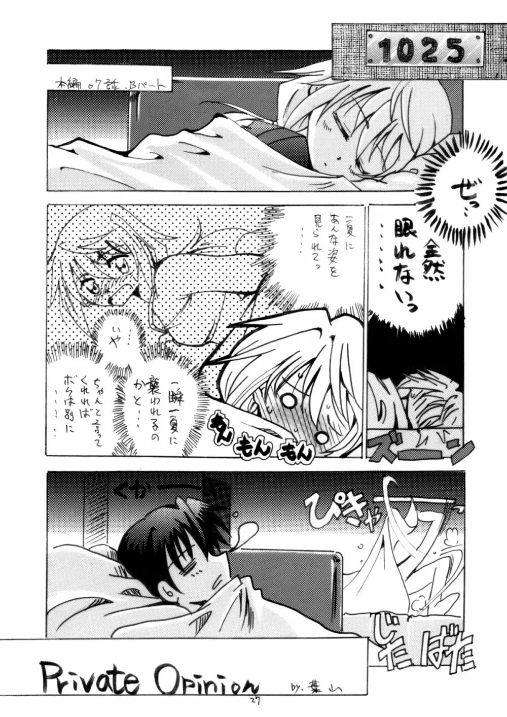 俺とシャルがこんなに乱れるわけがない - page26